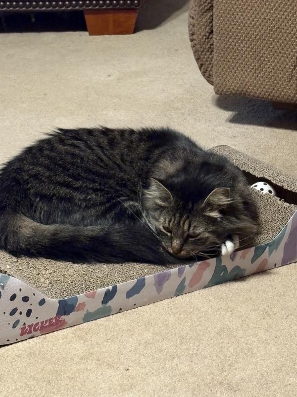 Emma gives it ⭐️⭐️⭐️⭐️