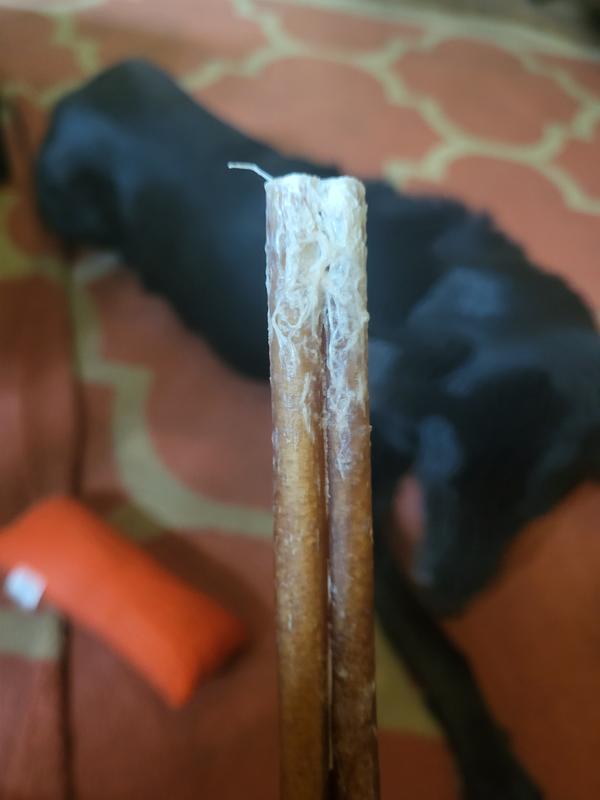 After about an hour of chewing over two sessions!