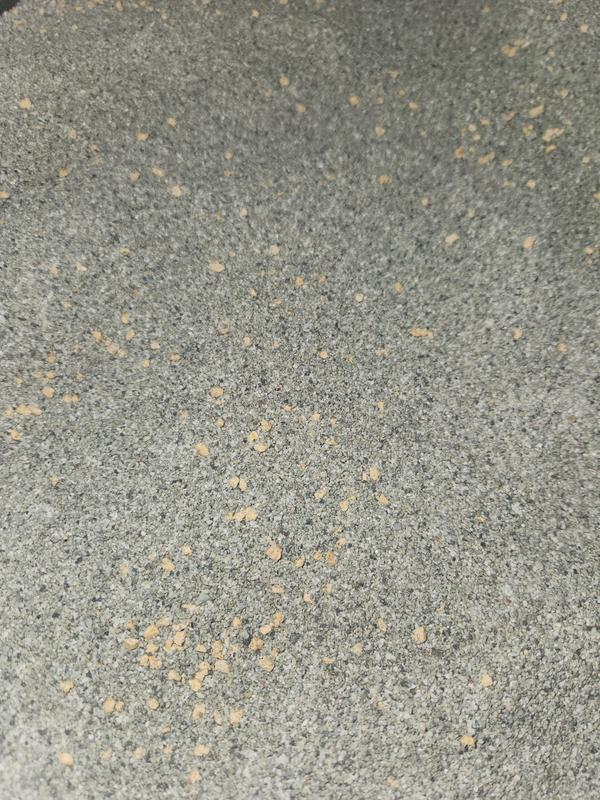 Using it in our litter