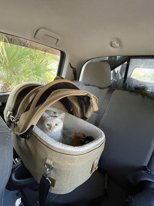 The seat locks into place and Willow is ready to ride!