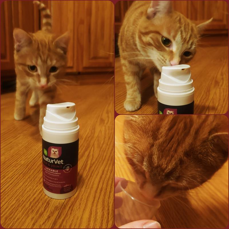 Penny tried each time, but didn't see to care for it and normally loooves and eats up her treats fast lol