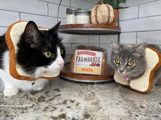 Cat discount bread costume