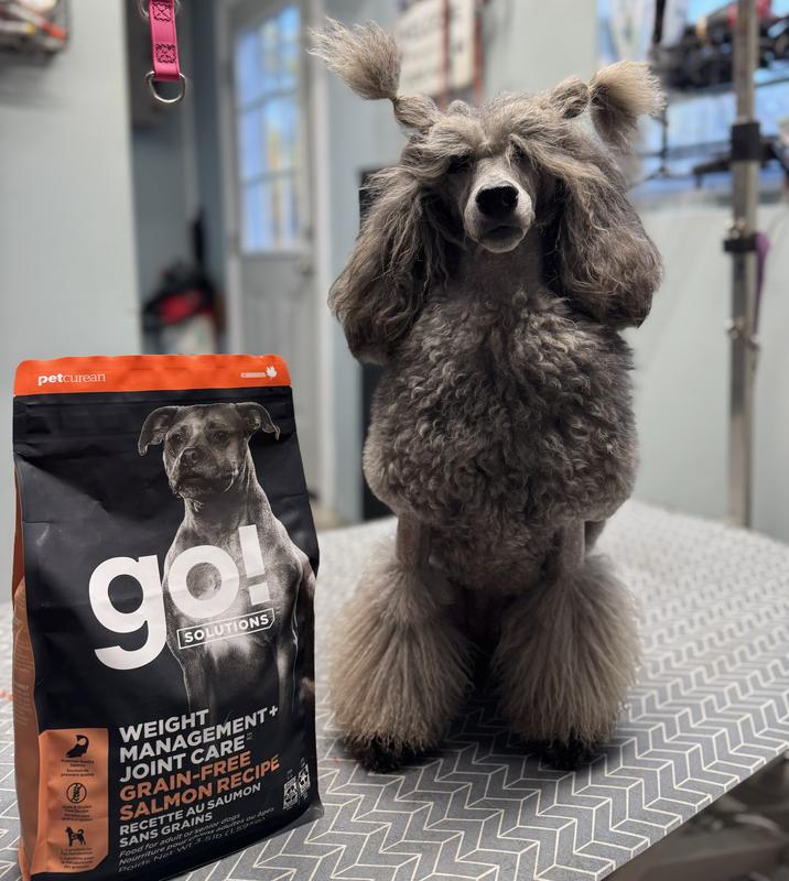 Wet Dog Food Buy Hill's Science Diet Adult 6+ Large Breed Chicken