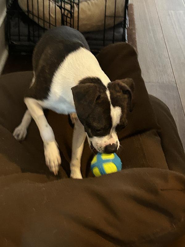 I’m going to steal it 😂