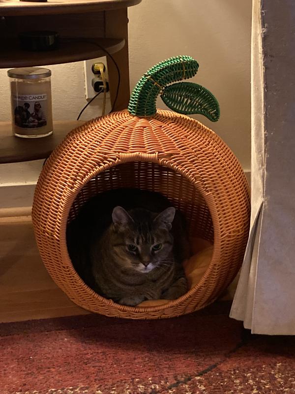 Cozy for any size cat