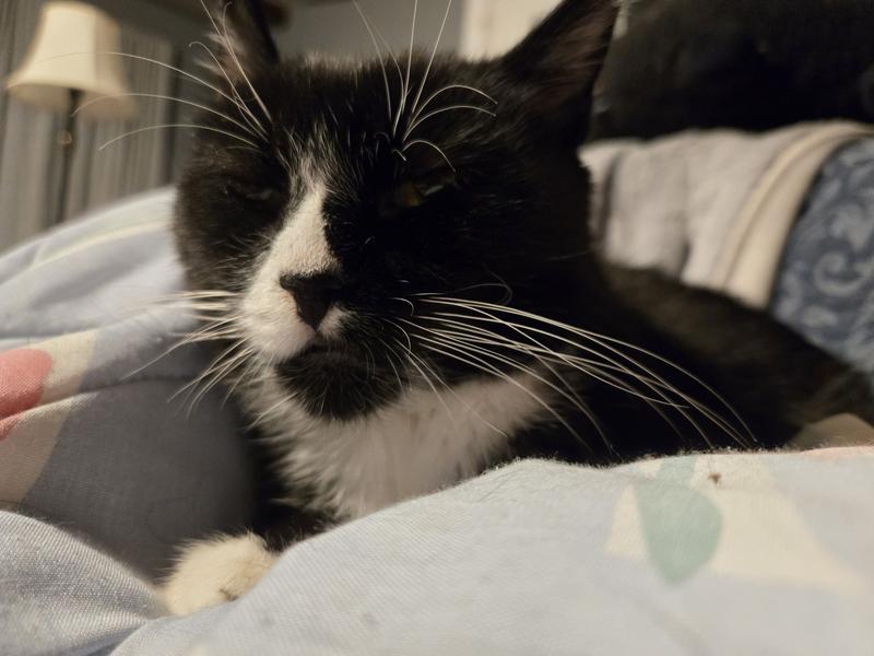 Chicken Noodle Soup is quite pleased