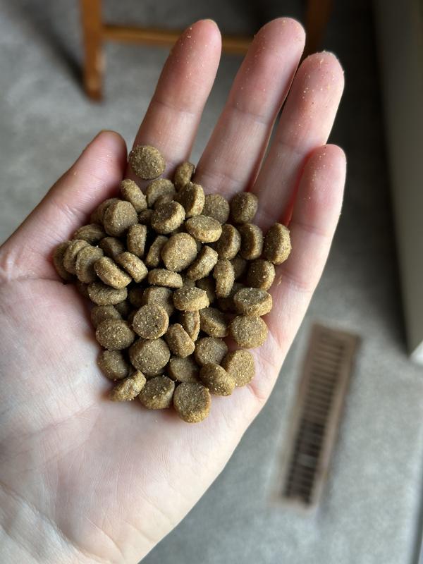 Perfect size kibble for our GSD