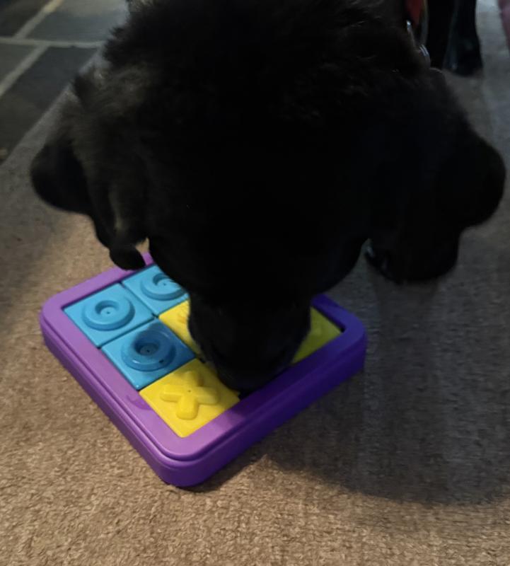 Figuring this toy out