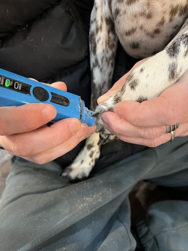 A closer view of using the grinder with the guard attached.