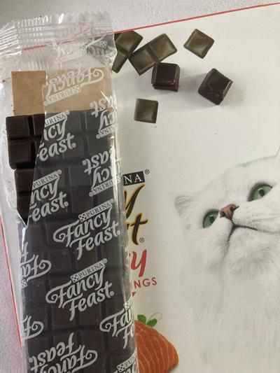 Cat hot sale chocolate treats