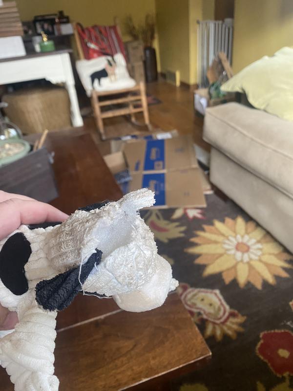 Squeaker and stuffing gone