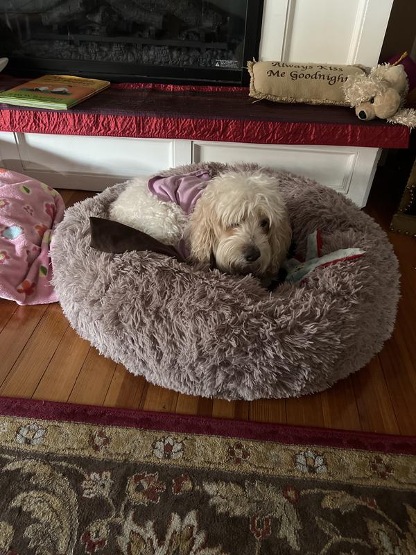 Little rest and relaxation