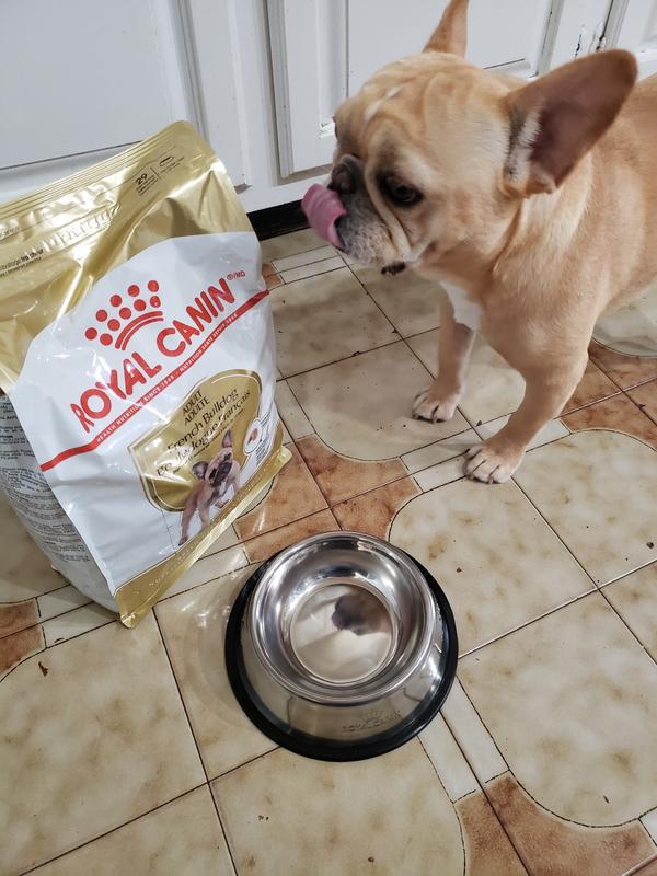 French bulldog food royal canin sale