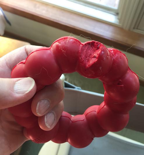 Kong Treat Spiral Ring Dog Toy - Large