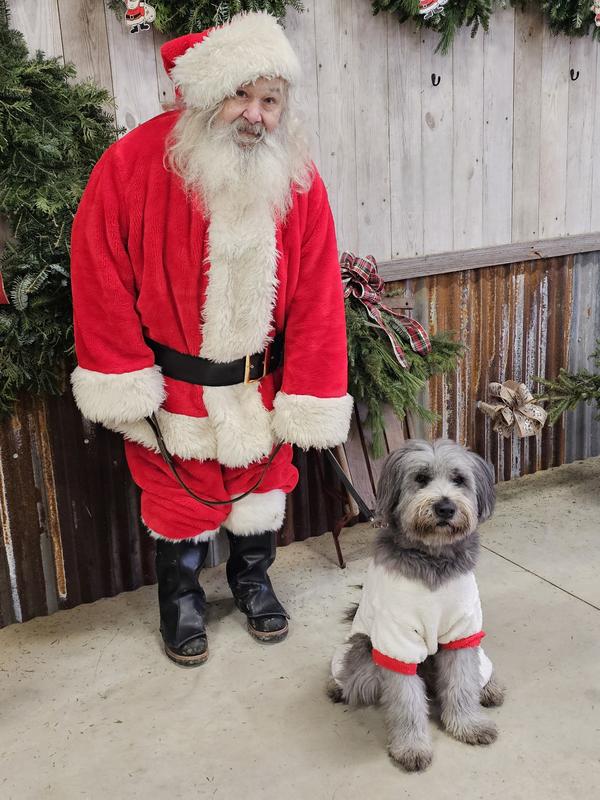 Frisco Candy Cane Crew Dog & Cat Hoodie