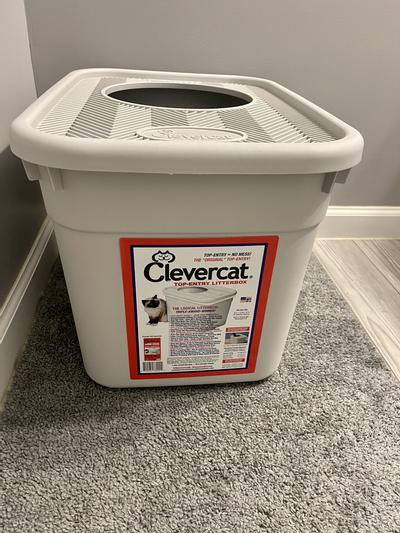 Clever cat top 2025 entry litter box