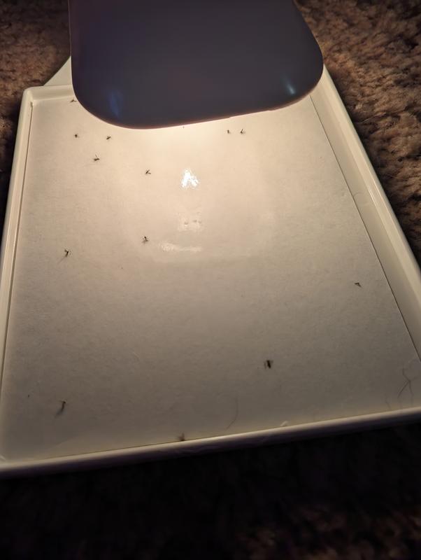 I'm glad I got this. I feel better knowing it works.