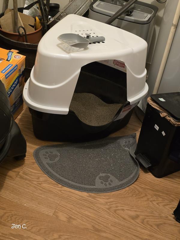 Best litter box ever