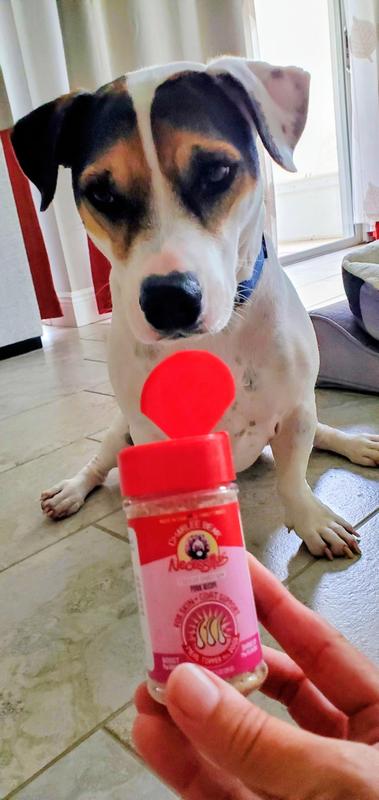 Part Beagle and sensitive