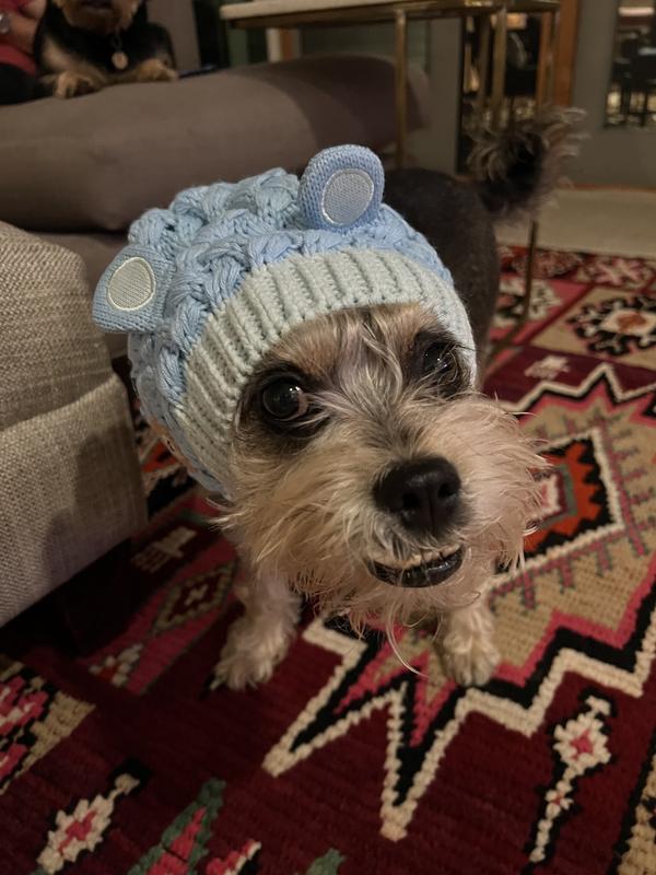 Frisco Floppy Sweater Knit Dog & Cat Hat