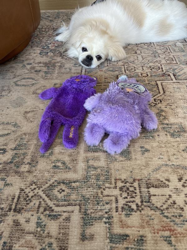 He loves the kitty whether it purrs or not.