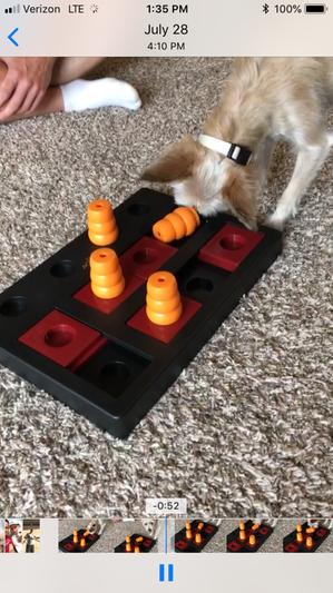 TRIXIE Activity Chess Dog Toy, 15.75 L X 10.5 W X 3.75 H