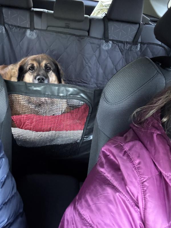 Ready to hit the road!