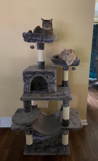 FRISCO 59-in Faux Fur Cat Tree & Condo, Dark Charcoal - Chewy.com