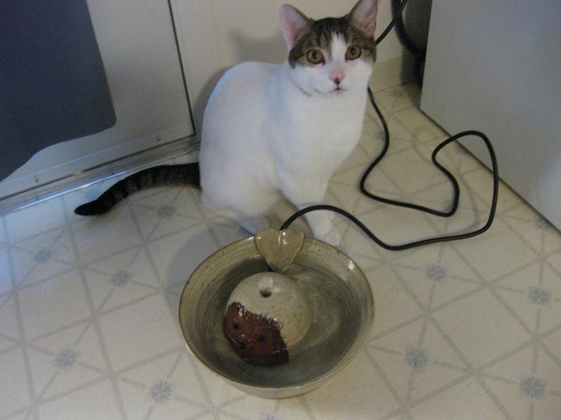 custom Hedgie water fountain