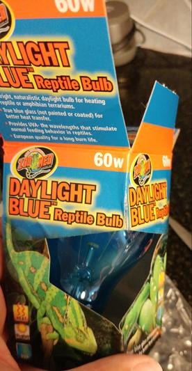 Daylight blue reptile bulb 60 outlet watt