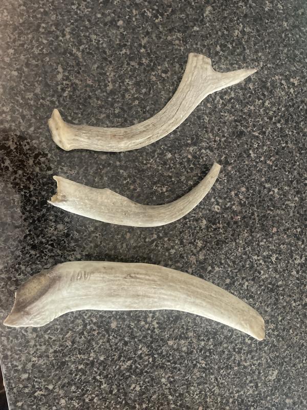 Far right was my first XL purchase, the ones towards the right are somehow classified also as XL?!