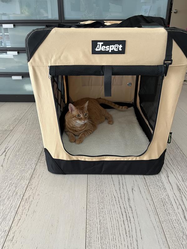 Of course, my cat had to try it out as soon as I put it together!