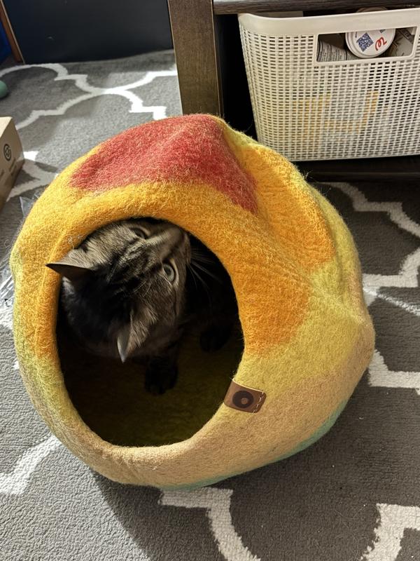 Sniffing her new digs.