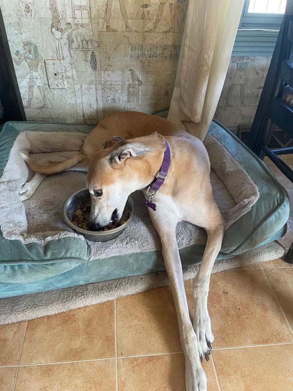 Princess Carly EATS!!