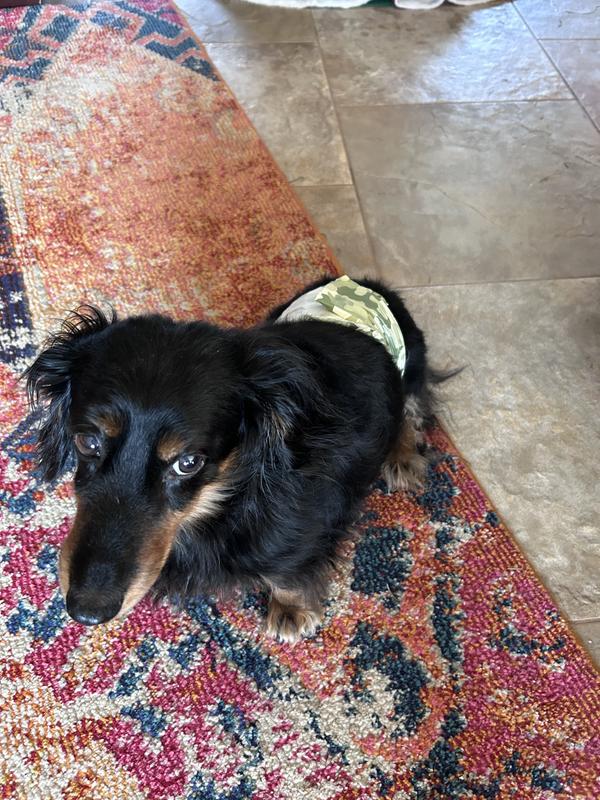 So embarrassing mommy!! But it fits me!!