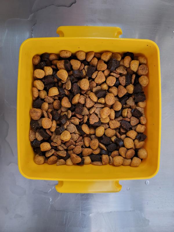 Leo's Mixed Treats