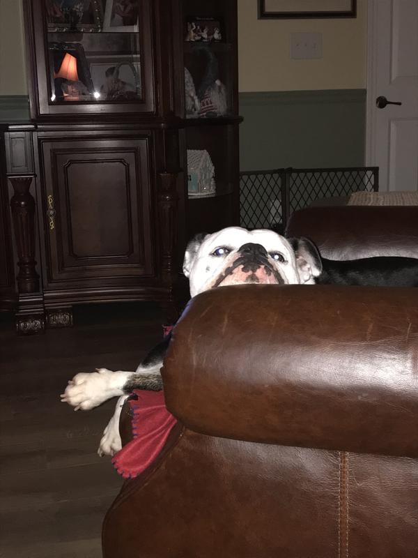 Being lazy on the recliner.