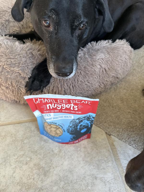 He is ready for his treats!