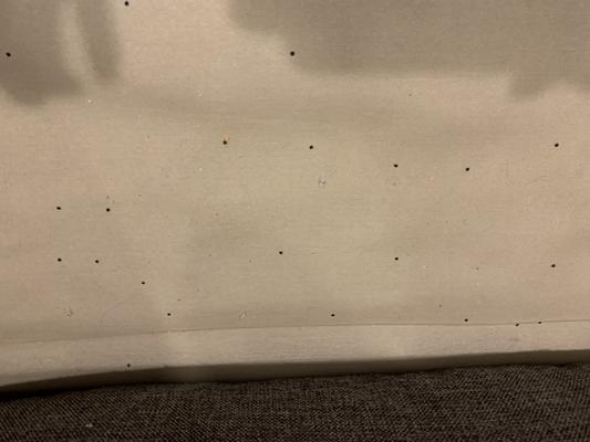 Discs under couch cushions