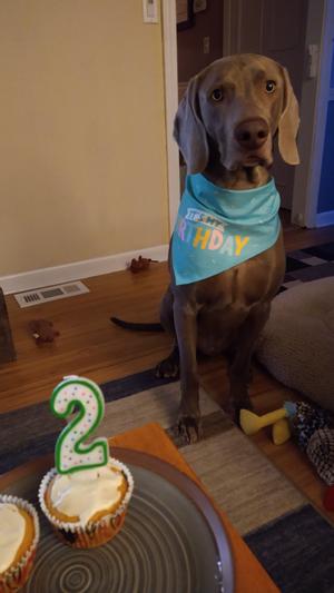 Austin's 2nd birthday