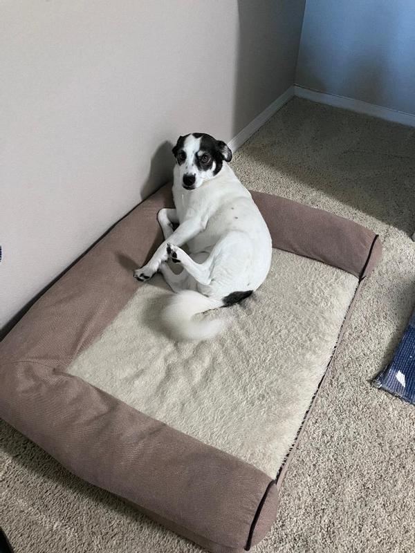 Oakley in her little corner!