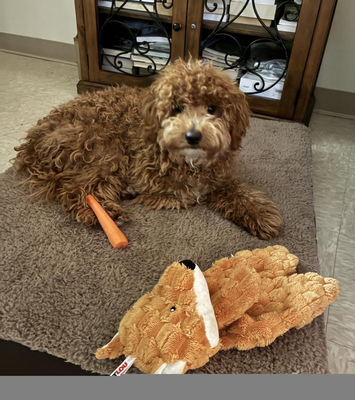 Comfy and cozy bed with room for stretching out