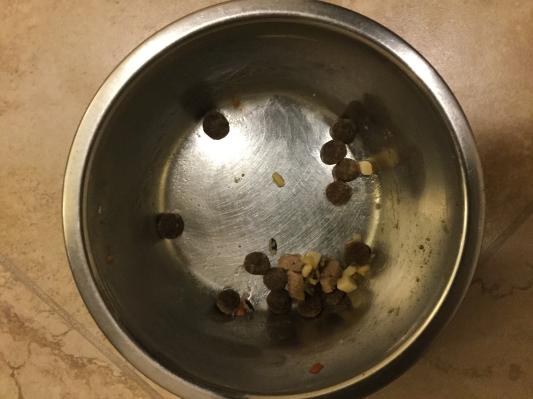 Kibble left in dogs bowl