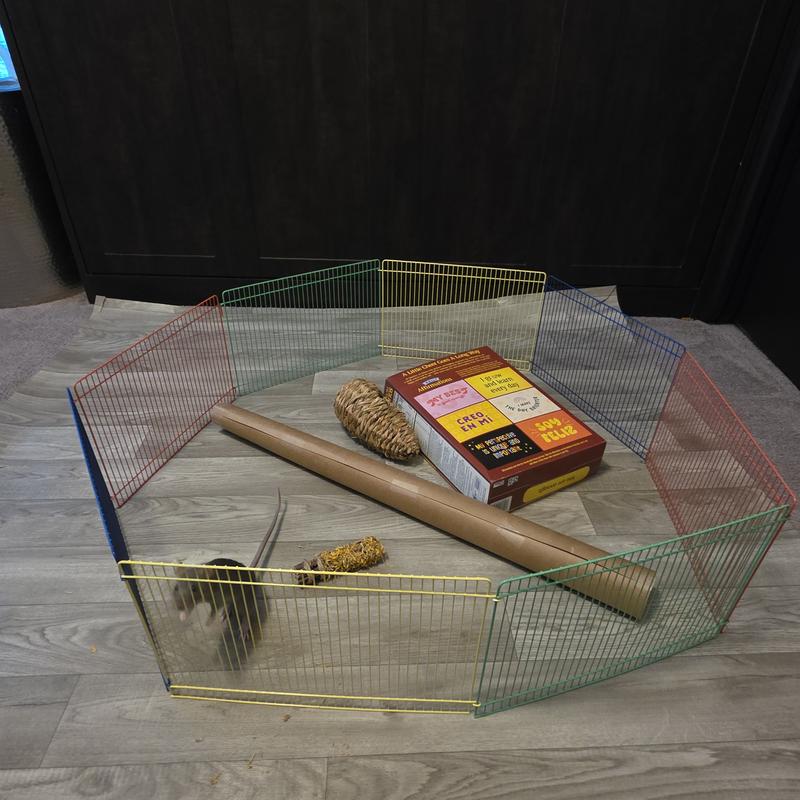 She jumped out right after I snapped this photo