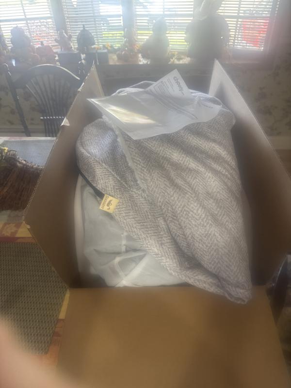 Large to small for a medium dog