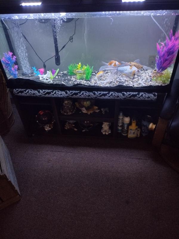 Clearer Tank