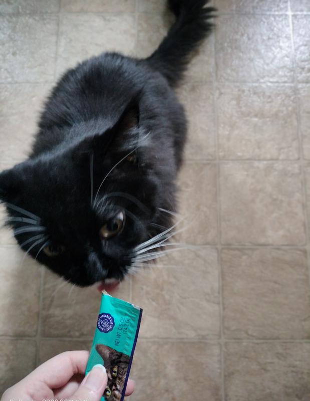 Yummy! He likes!