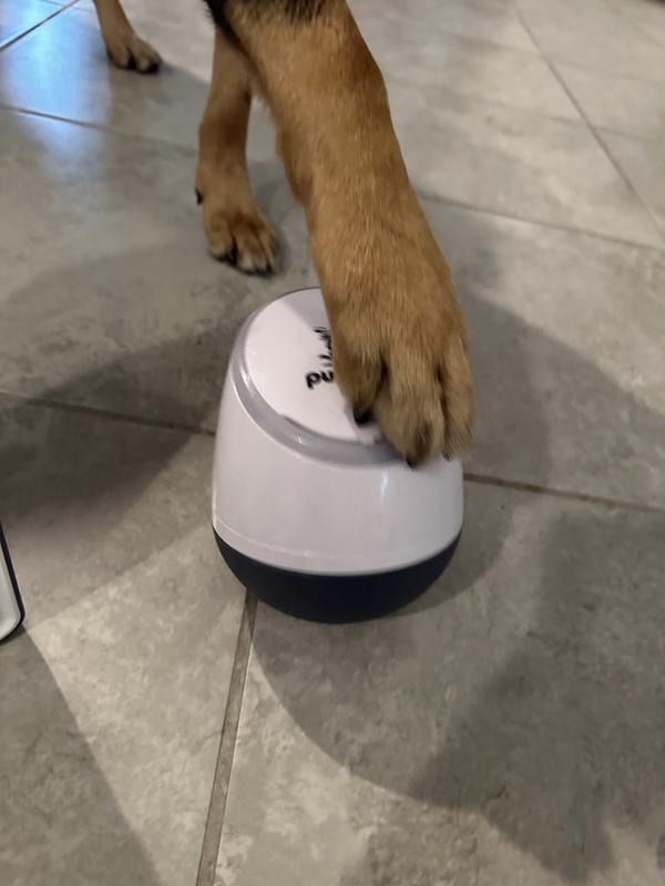 Pet Tutor Dog Treat Dispenser Review