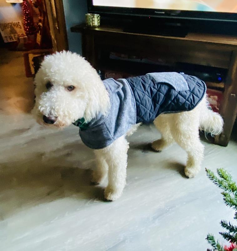 FRISCO Medium Weight Quilted Dog Coat with brushed Fleece Snood