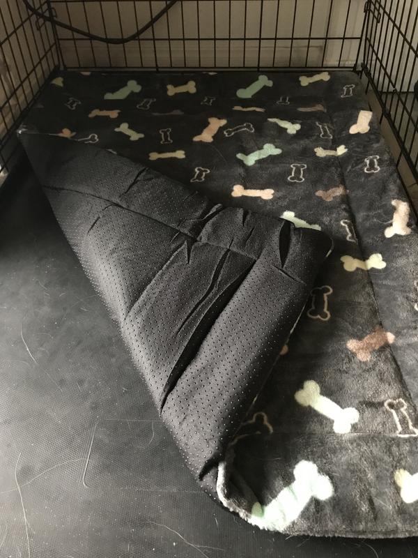 Grip on the bottom but still slides around a little depending on how wiggly your pup is